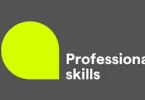 Professional Skills